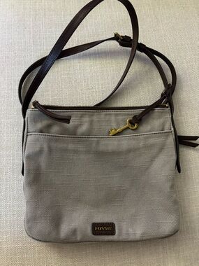 Fossil Taupe Crossbody Bag with Dark Brown Straps